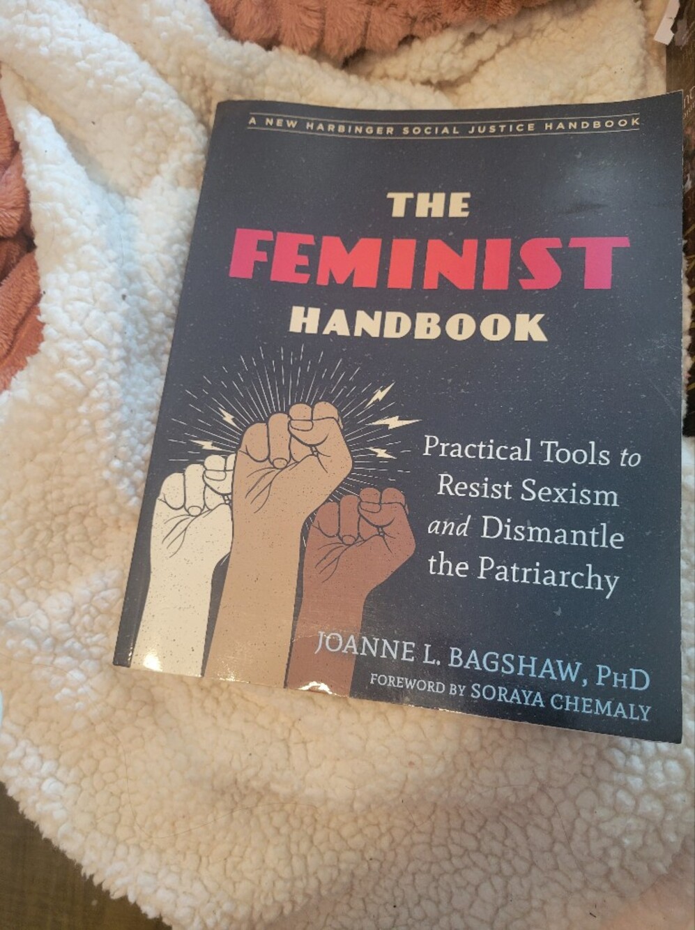 The Feminist Handbook Book